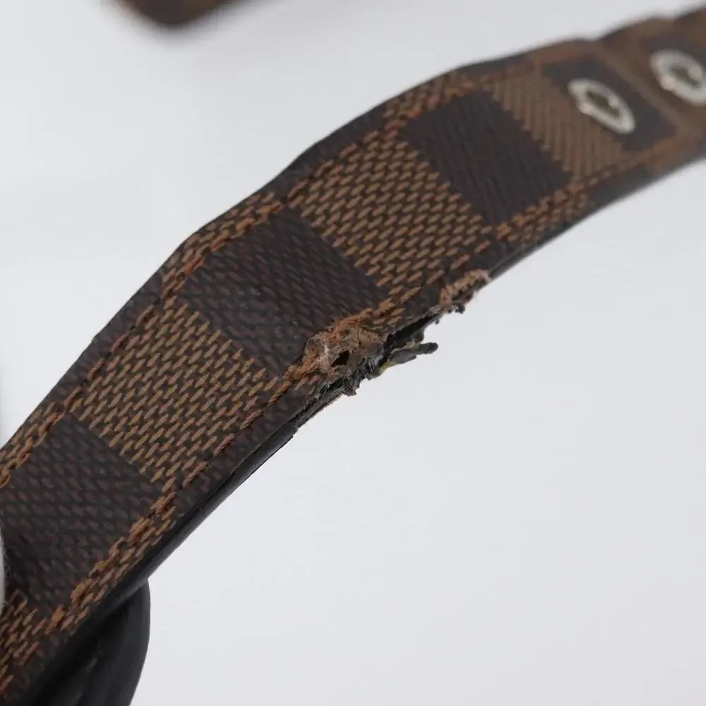 Louis Vuitton Damier Ebene Chapman Brothers Nile PM Shoulder Bag Brown